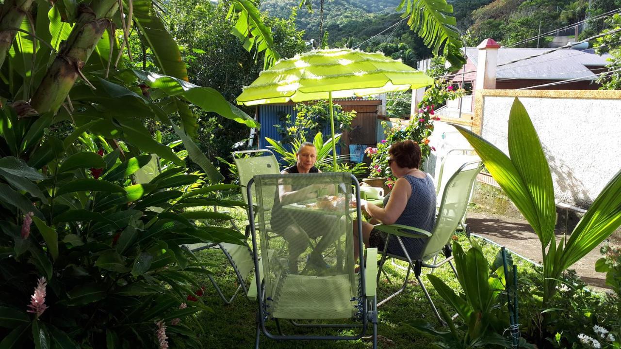 Terrasse Du Piton Bed & Breakfast Deshaies Ngoại thất bức ảnh
