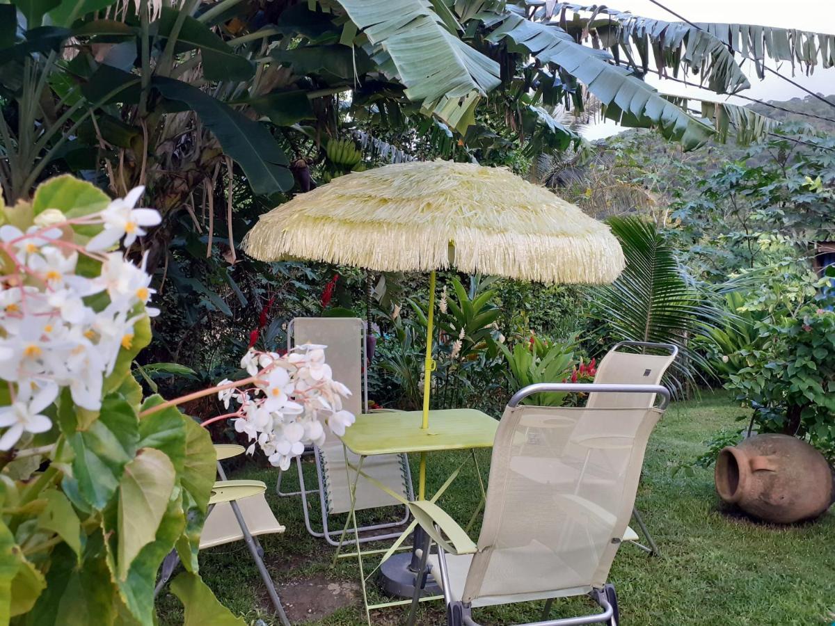 Terrasse Du Piton Bed & Breakfast Deshaies Ngoại thất bức ảnh